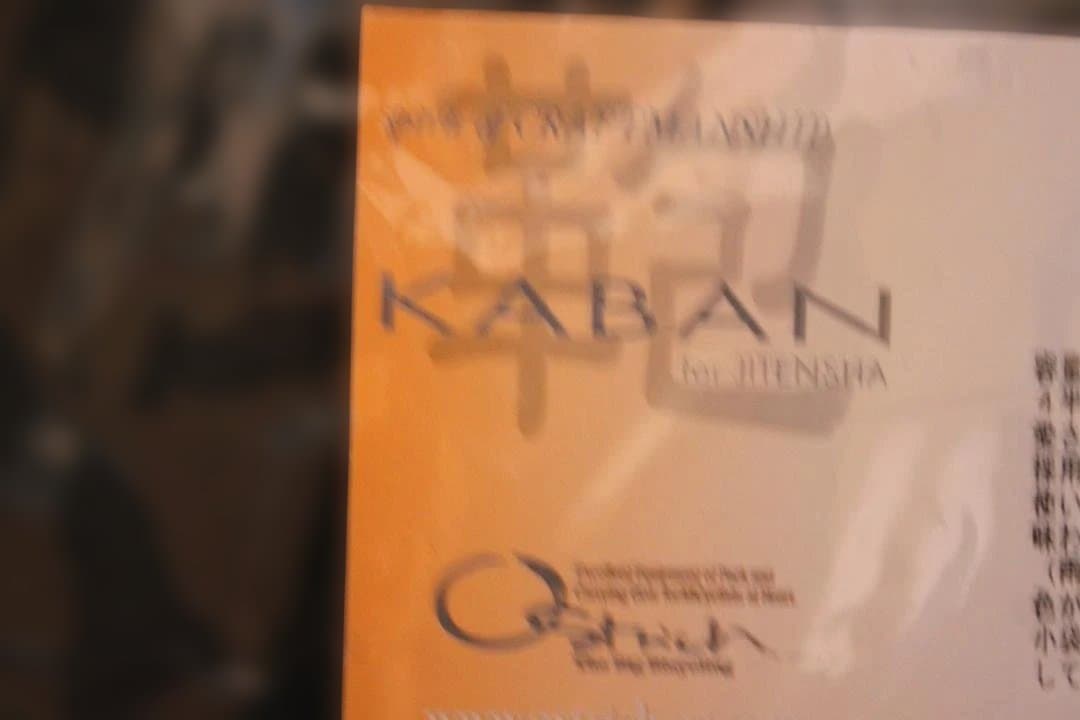 オーストリッチ　DLX　サイドバッグ×２個　グリーン　ランドナー　自転車