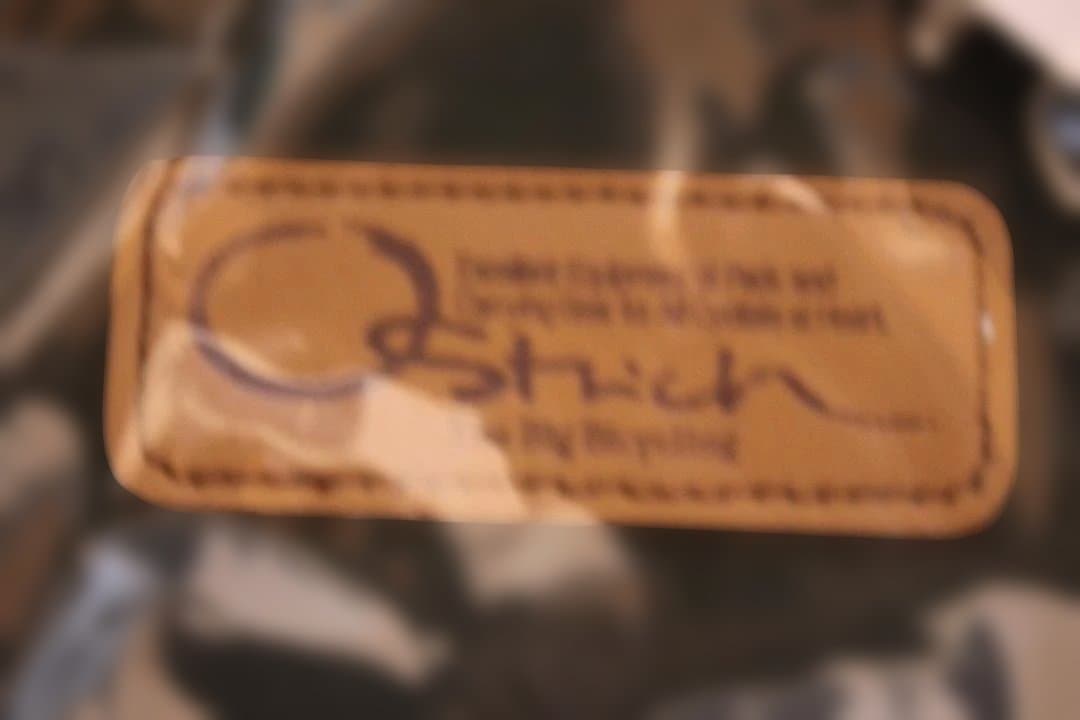 オーストリッチ　DLX　サイドバッグ×２個　グリーン　ランドナー　自転車