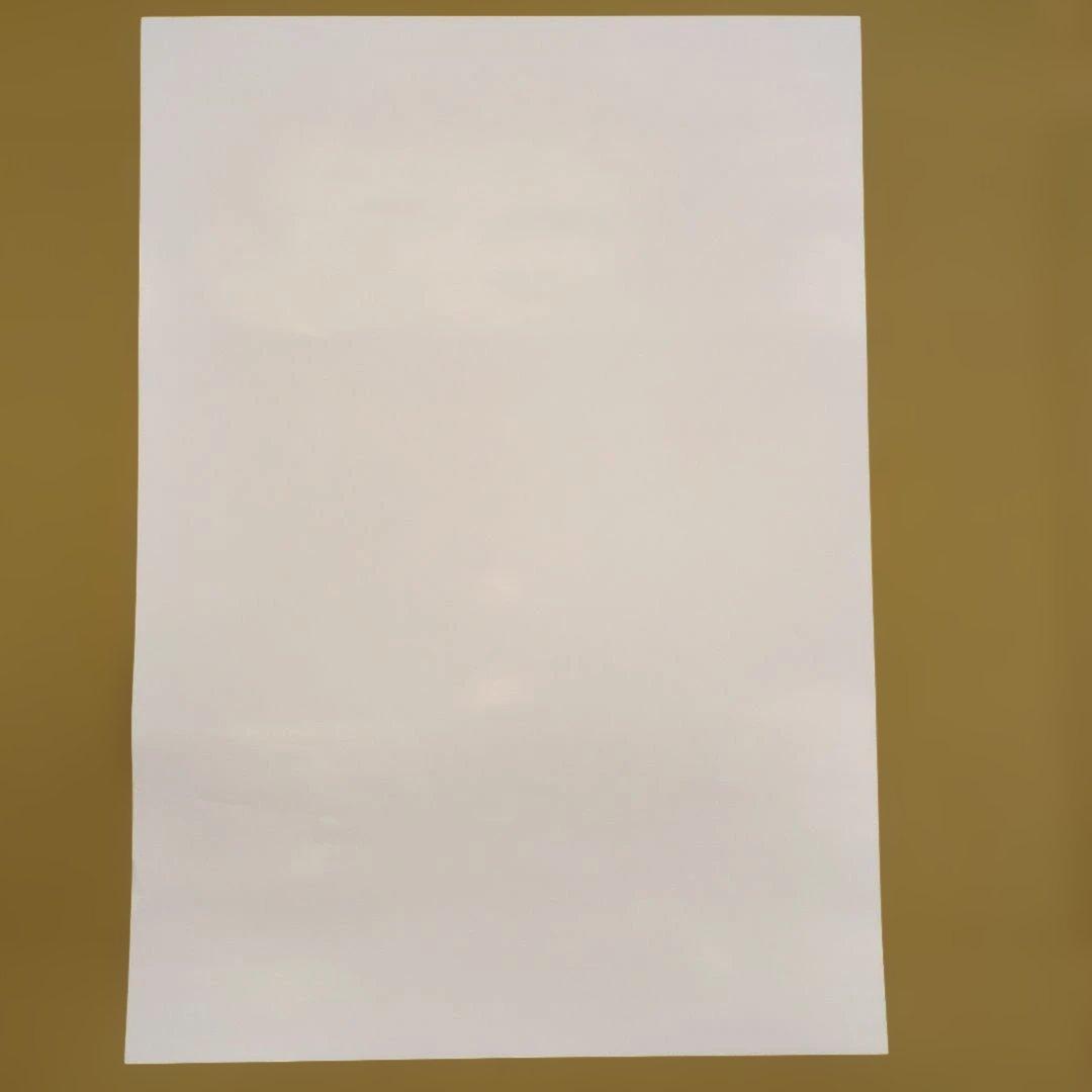 【非売品】スイッチ2ソフト　カービィのエアライダー 店頭告知用B2ポスター