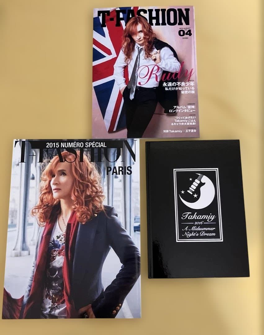 THE ALFEE 高見沢俊彦パンフ12冊セット　付属品追加