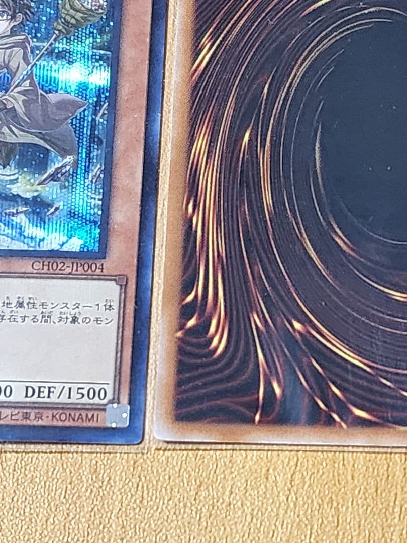 遊戯王 大輪の霊使いプリシク