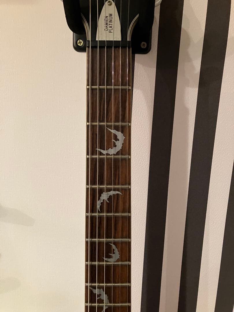 シェクター SCHECTER Damien Platinum-6