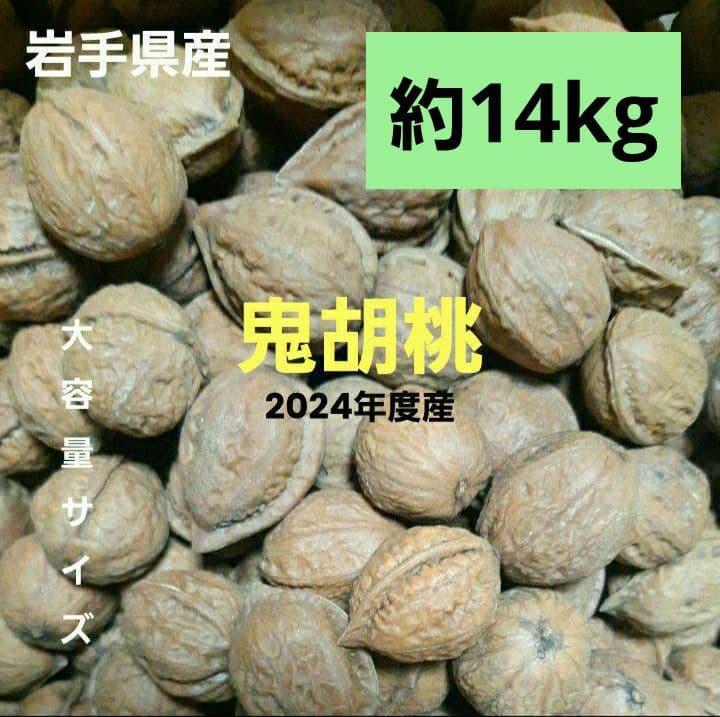 殻付き鬼胡桃[2024年度産 約14kg]特別セール中！大容量サイズ