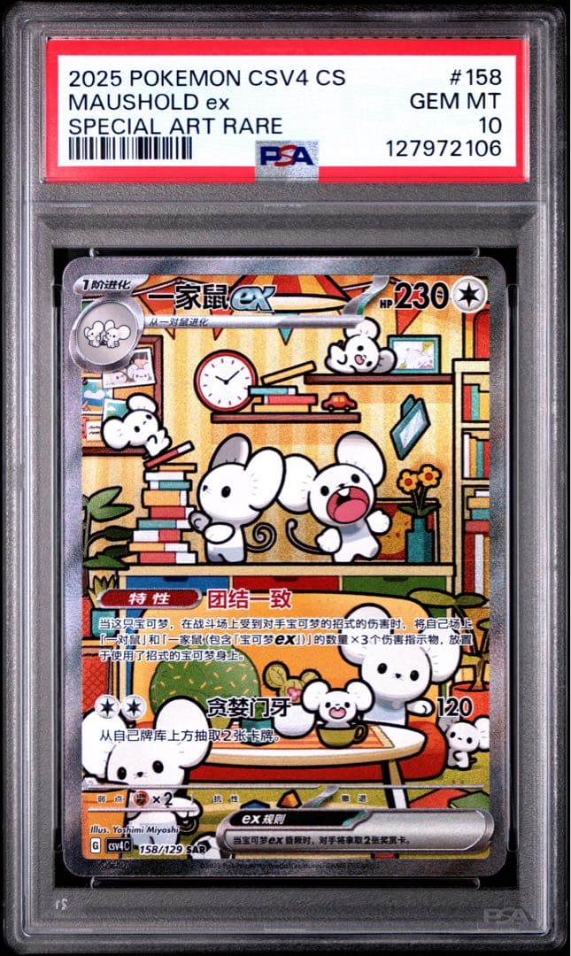 イッカネズミ 中国 SAR PSA10