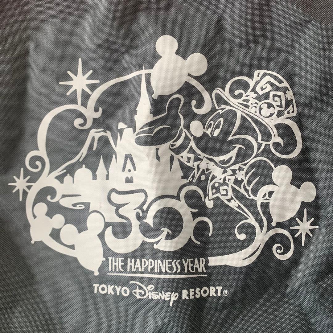 東京ディズニーリゾート×LOGOS アウトドアチェア　セット　ロゴス　ミッキー