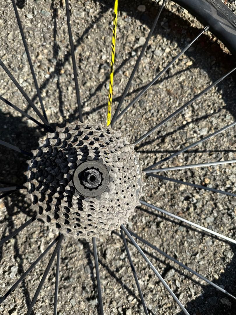 ルーパパページ。Mavic 完組ホイール 29インチ ディスクブレーキ