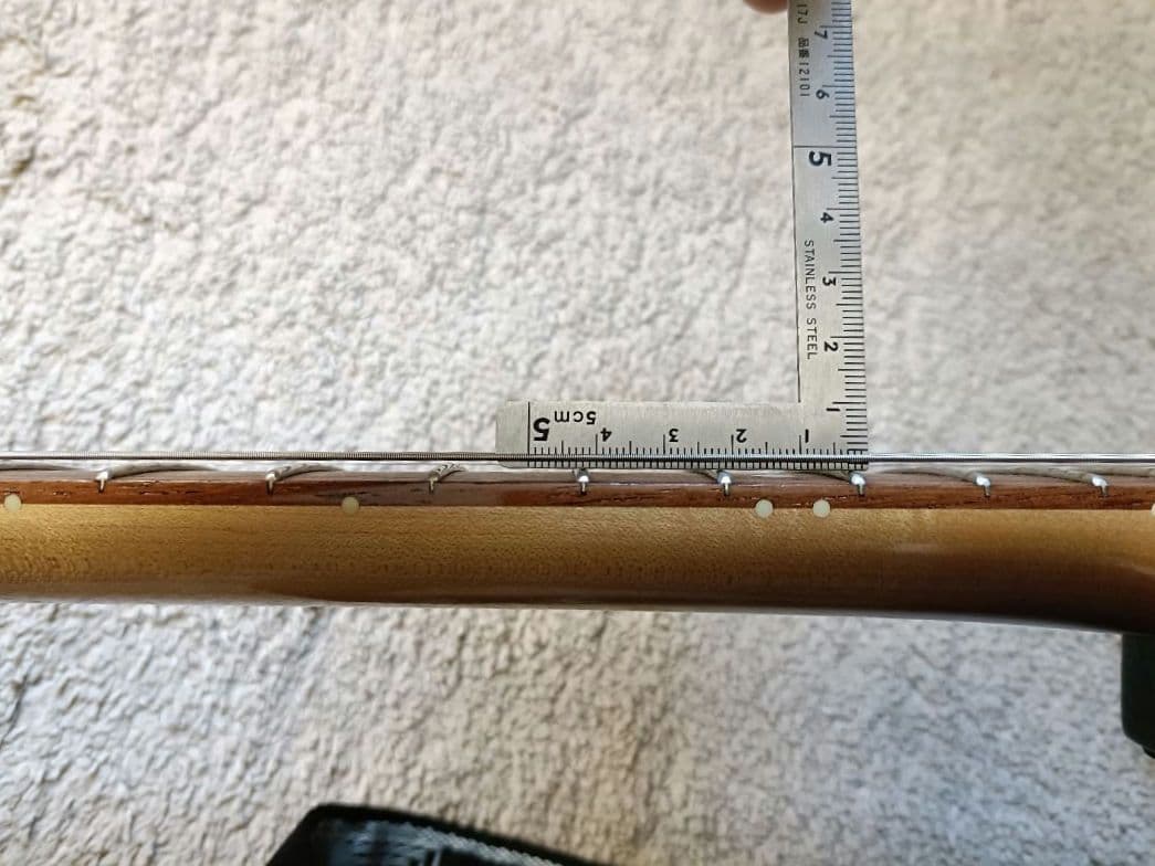 Momose MJM-STD/NJ DPLB-MH モモセ ジャズマスター