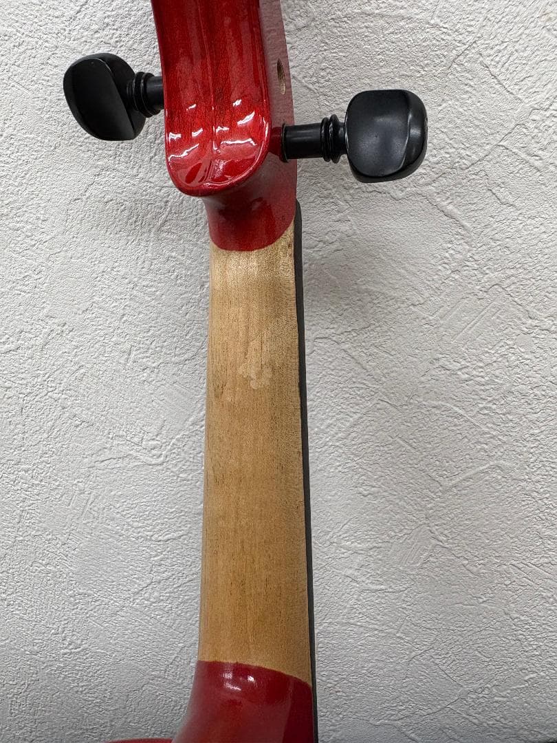 ハルシュタット　エレキヴァイオリン