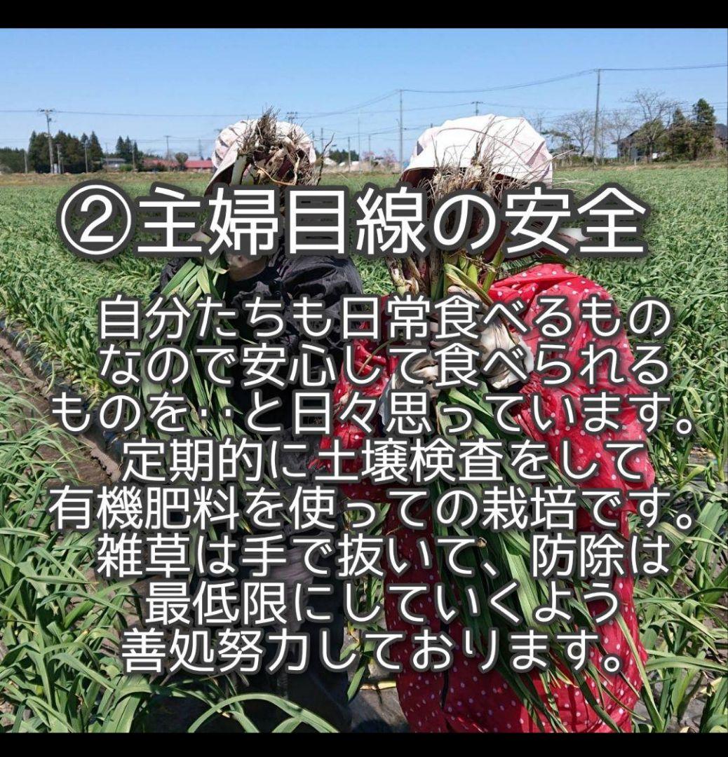 m*u様 青森県産にんにく訳あり小玉処分セール青森県産ニンニク訳あり　保存用
