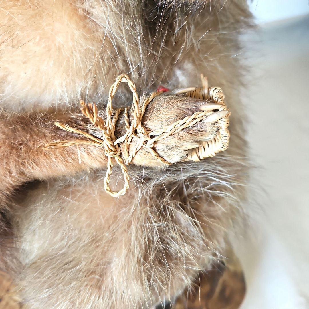 剥製　狸　タヌキ　獣　縁起物　商売繁盛　出世運　レトロ　天然木　台座付き