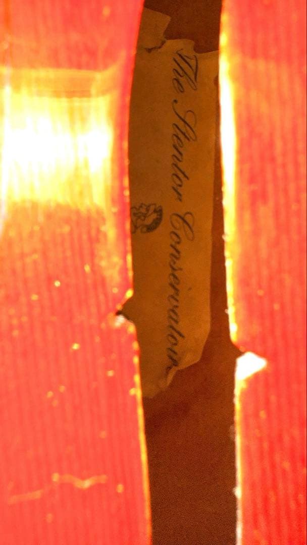 The Stentor Conservatoire バイオリン本体