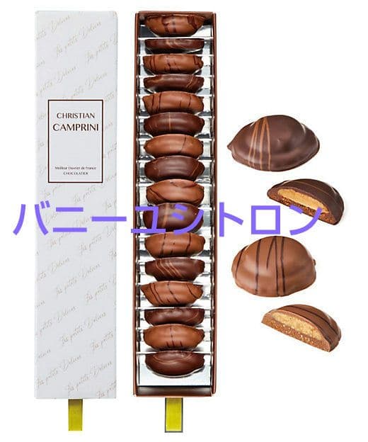 ラスト1点 サブレキャラメルバニーユシトロン クリスチャンカンプリニ