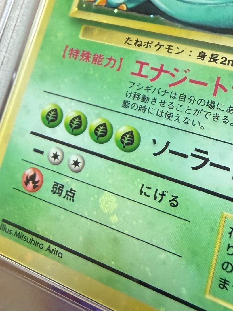 フシギバナ 旧裏 全面ホロ psa10