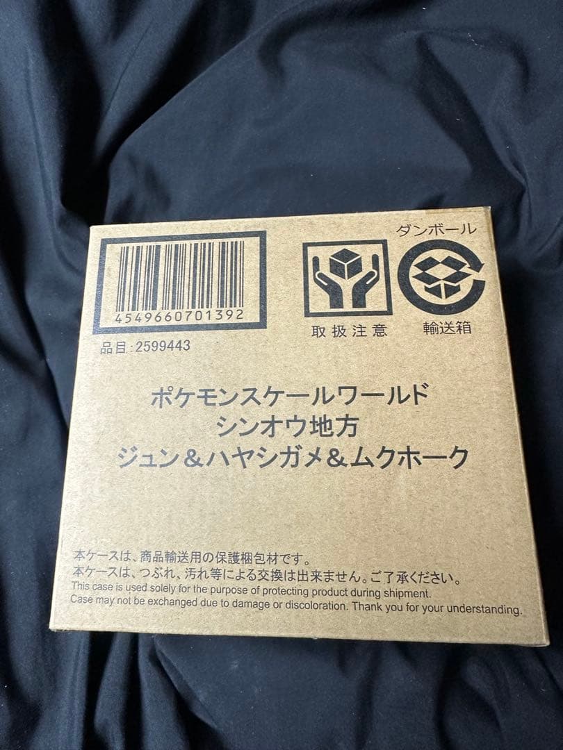 ポケモンスケールワールド シンオウ地方 ジュン&ハヤシガメ&ムクホーク