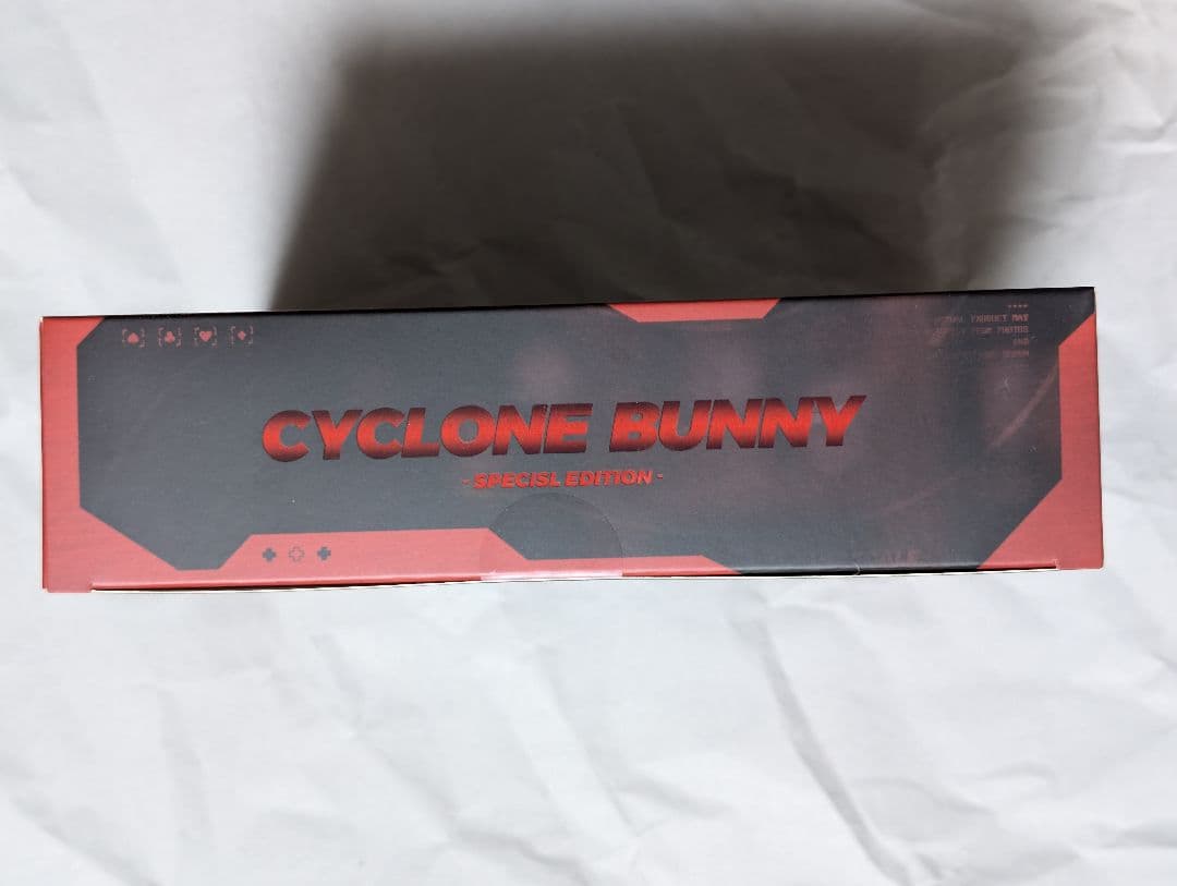 バニーガール アイリン サンキスドVer. フット サイクロンバニー パーカー