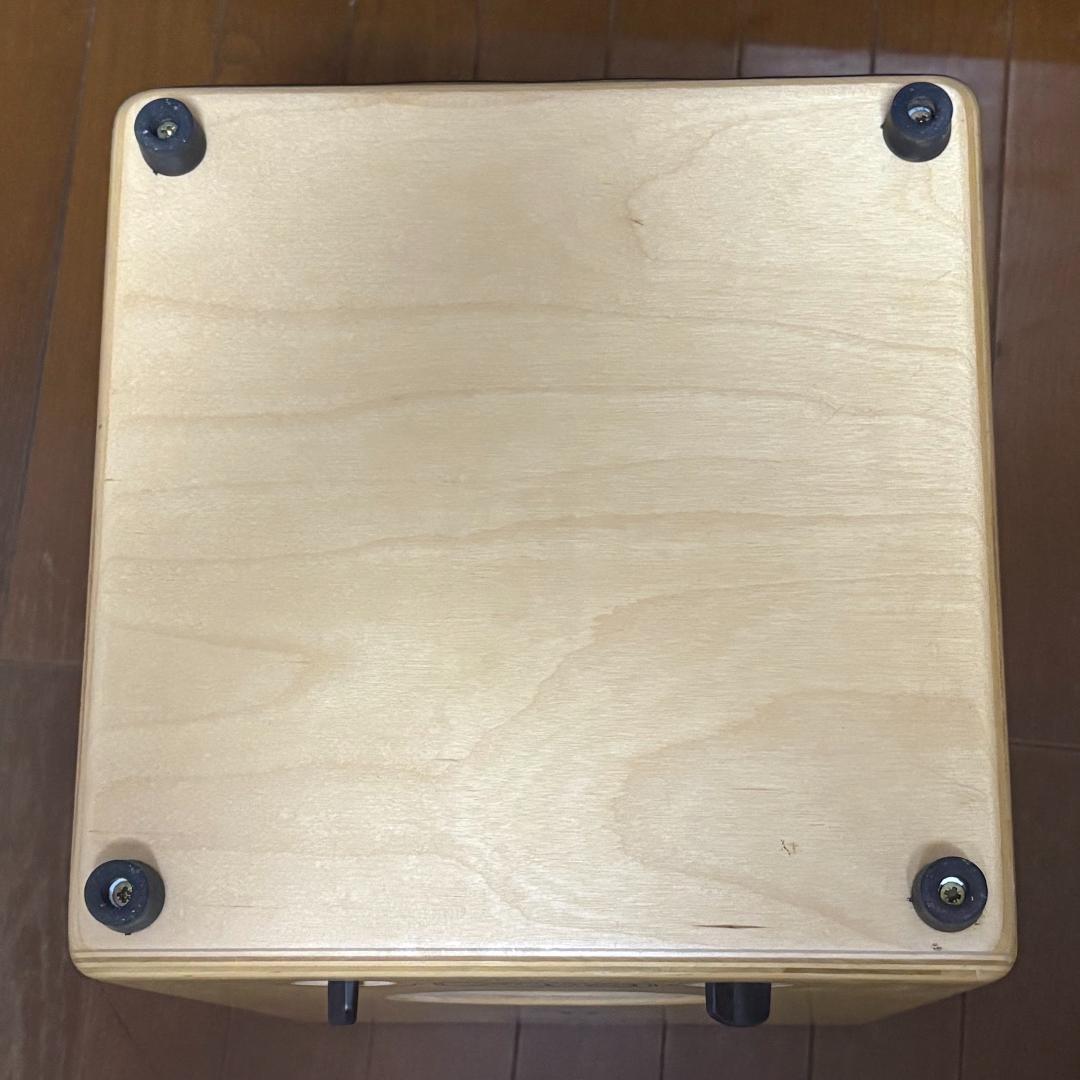 J.Leiva カホン ホセ・レイヴァ Medina スペイン製