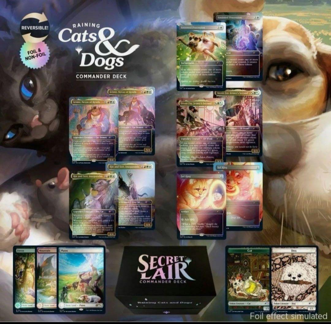 MTG　SLD/Raining Cats and Dogs/未開封/1箱