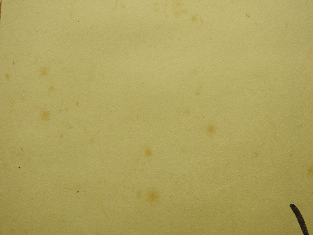 清水公照　茶相　共箱　MA888