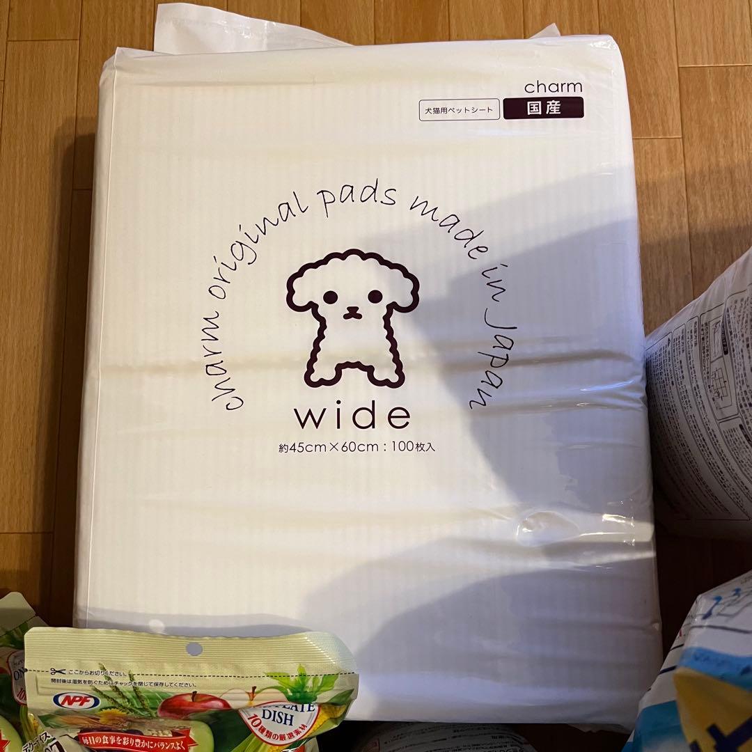 デグー　DRGU 飼育セット　餌　サンド　シートなど