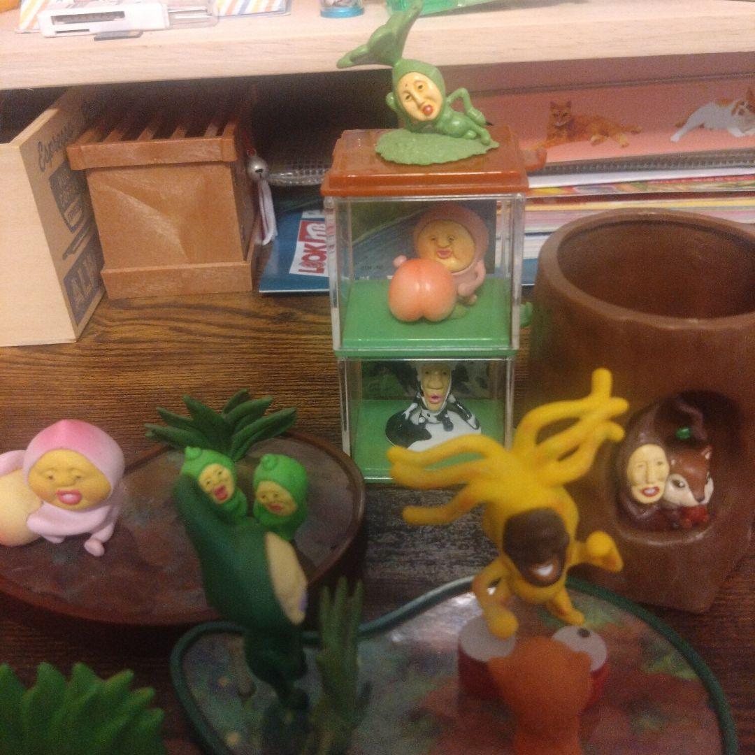 こびとづかん生態系セット(1部部品なし)