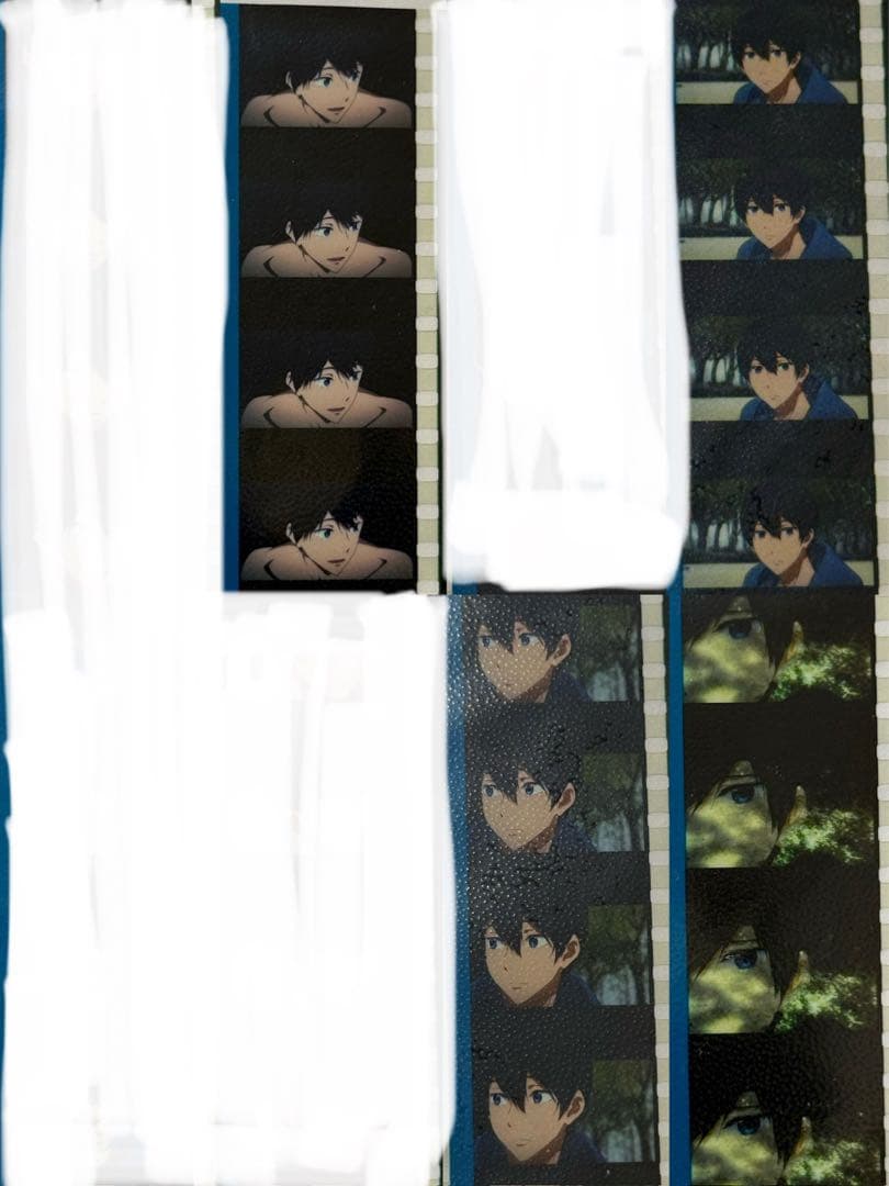 Free! the Final Stroke 入場特典 遙 真琴 コマフィルム