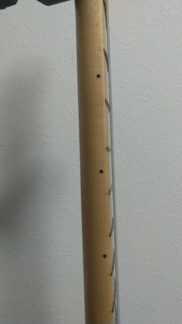 ギター Fender MexicoStratocaster Plier Series