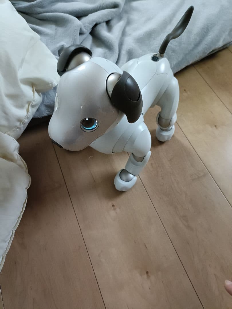 aibo　本体