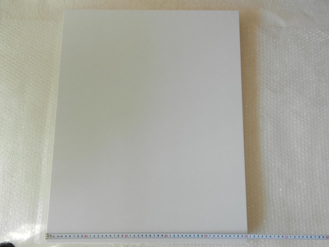 EVANGELION エヴァンゲリオン 複製原画 テストプラグスーツのアスカ