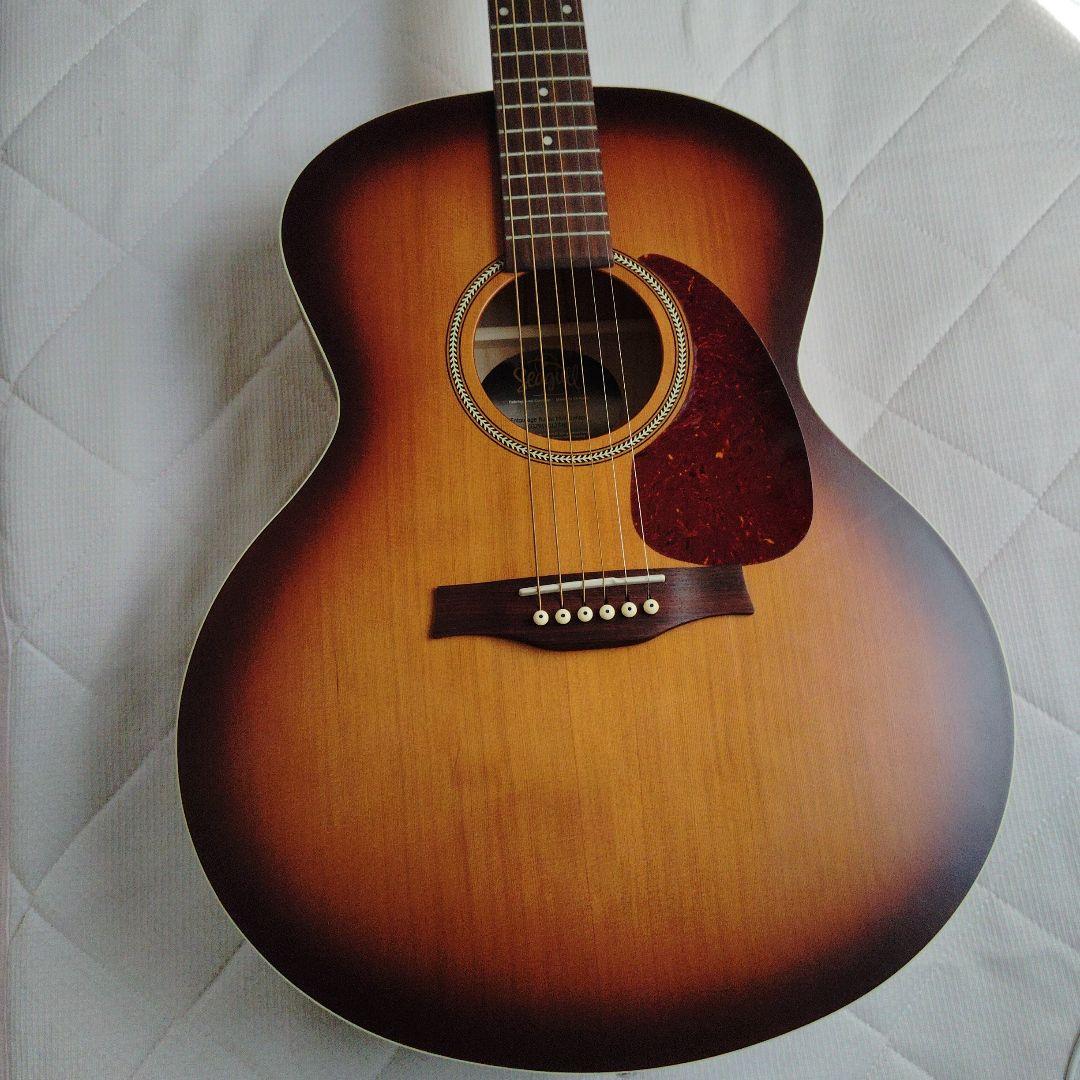 Ｓeagull（シーガル）アコースティックギター 、Mini Ｊumbo