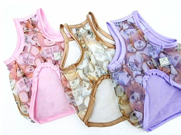 B　Airy Bear キャミ3色セット　サーカスサーカスcircuscircu