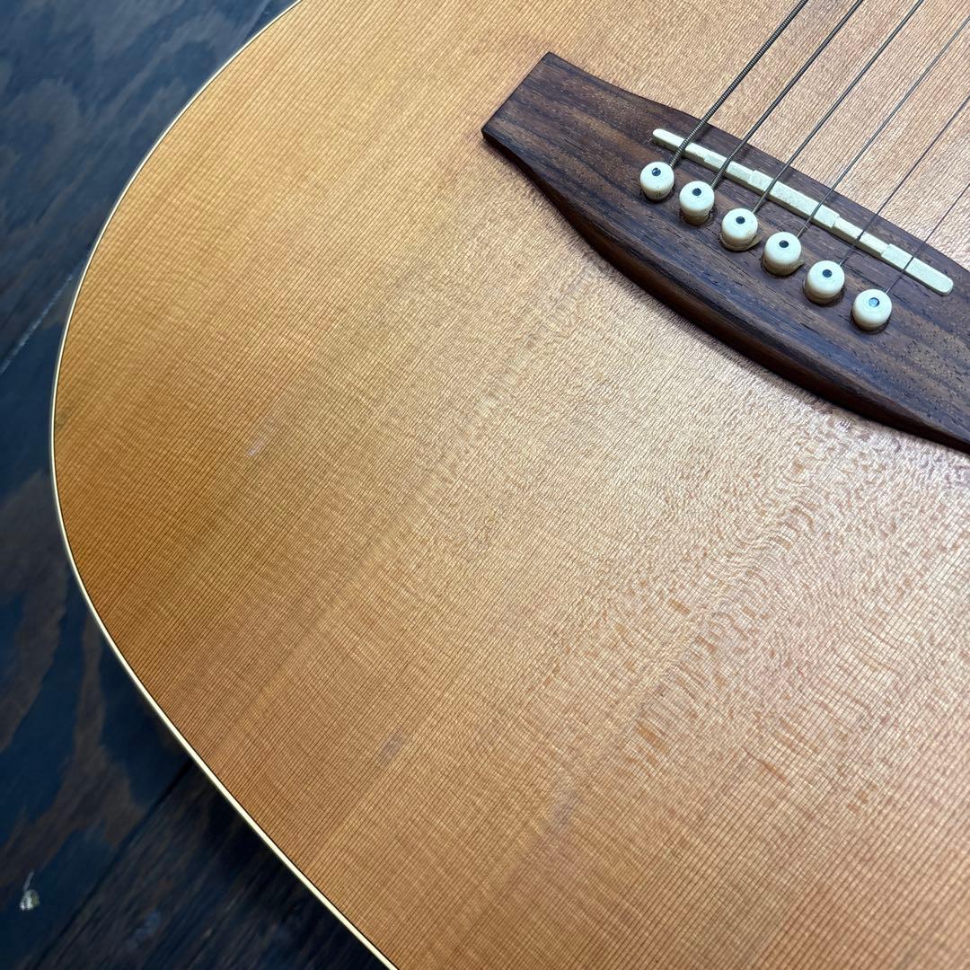 カナダ製シーガルアコースティックギター スプルーストップ