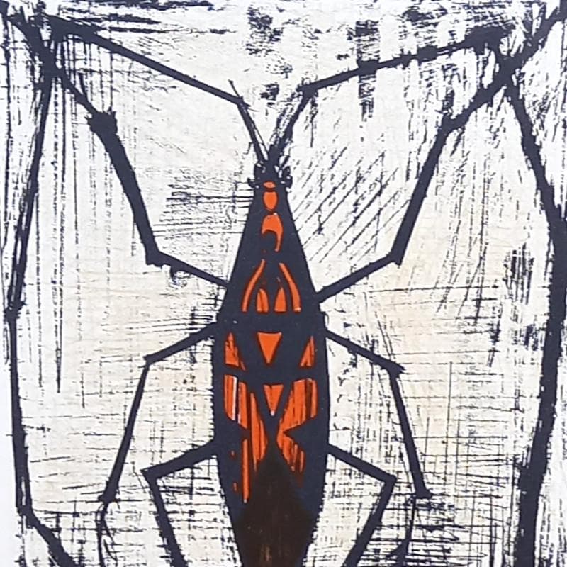 ☆ビュッフェ☆「 LADY BIRD 」　プレート付き　レゾネ図版より