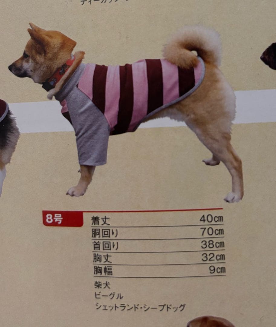 (˙ᴥ˙)様⭐︎専用ページ