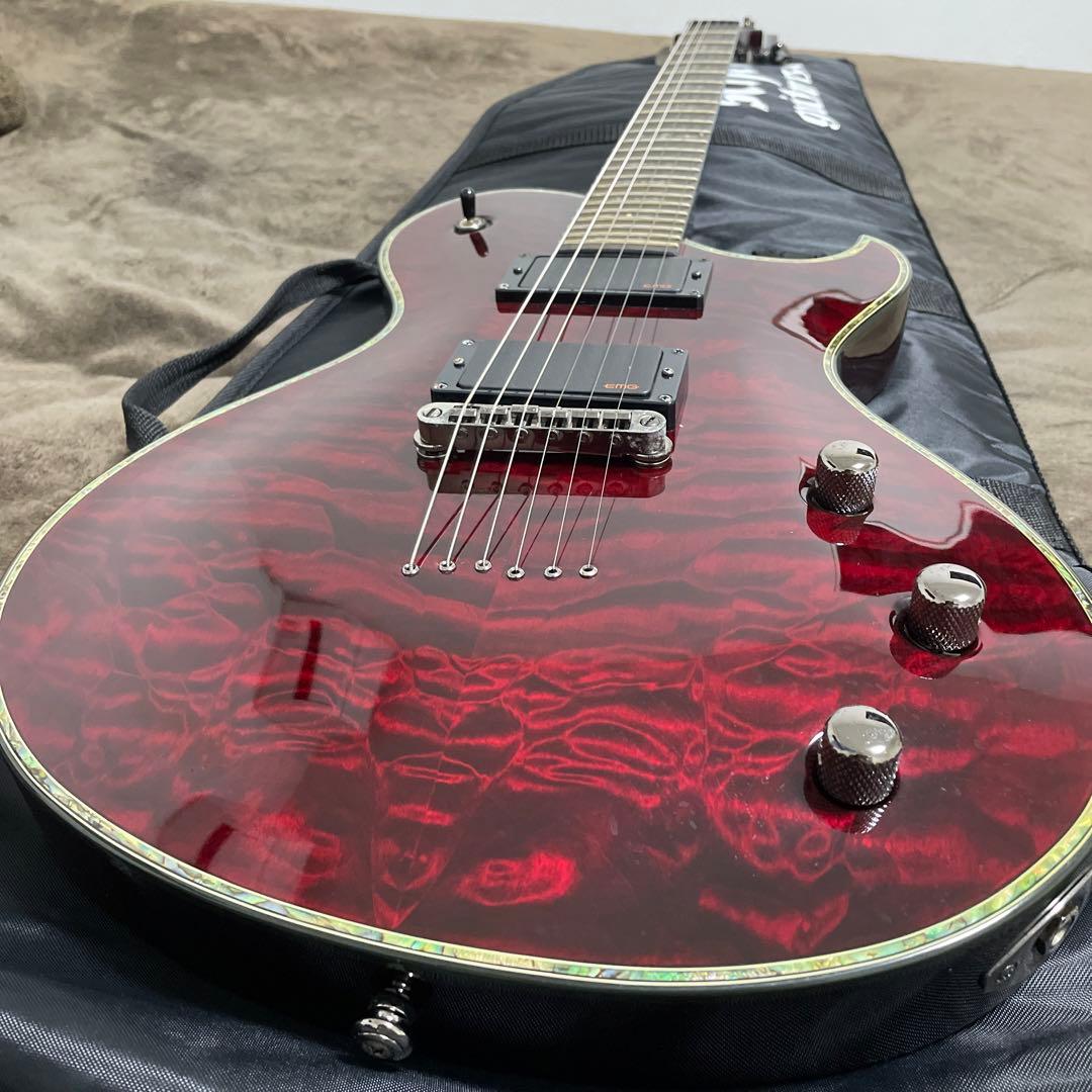 シェクター　ギター　EMG ケース付き