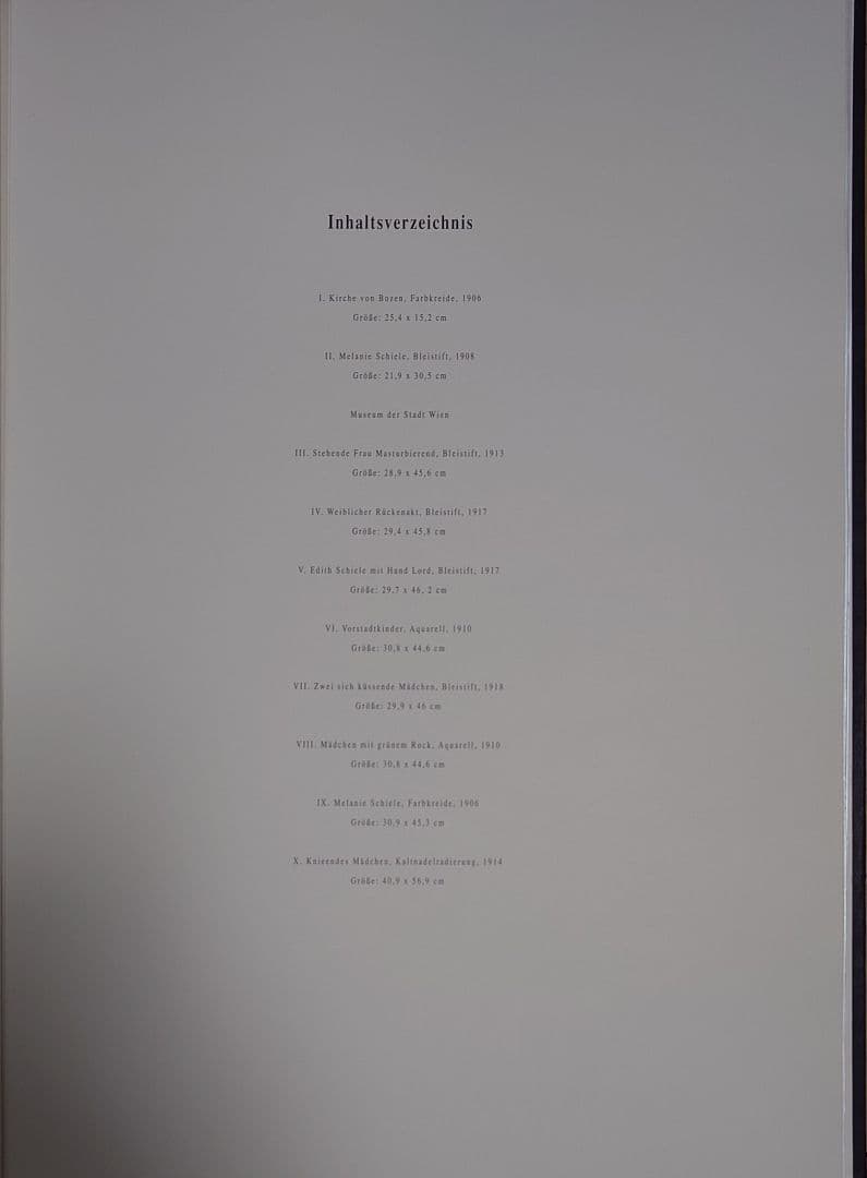 真作 エゴン・シーレ 生誕100年 リトグラフ10枚挿画本 販売時60万円