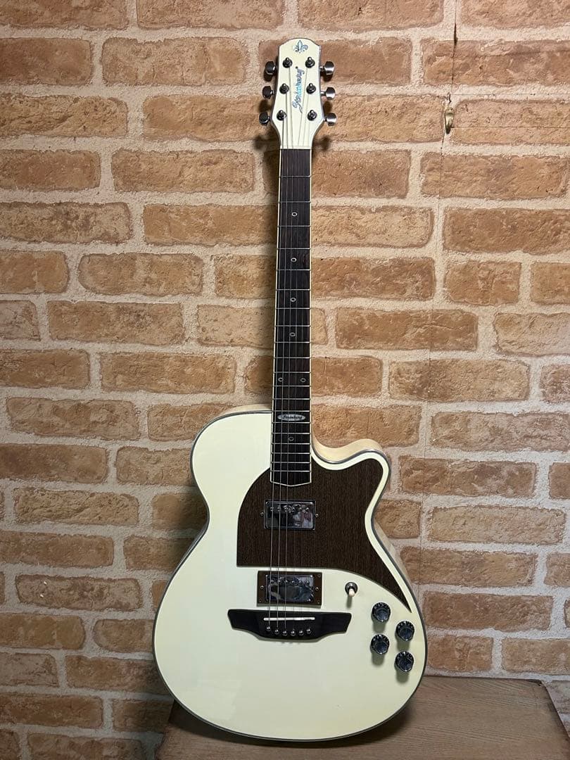 STRINBERG フルアコ化リメイクギター