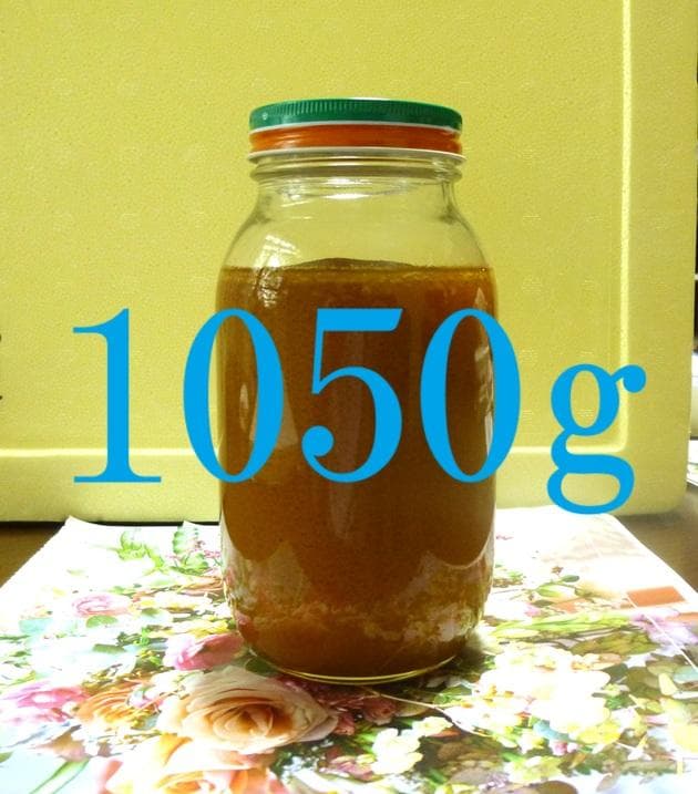 【結晶】ニホンミツバチの百花蜜1050g