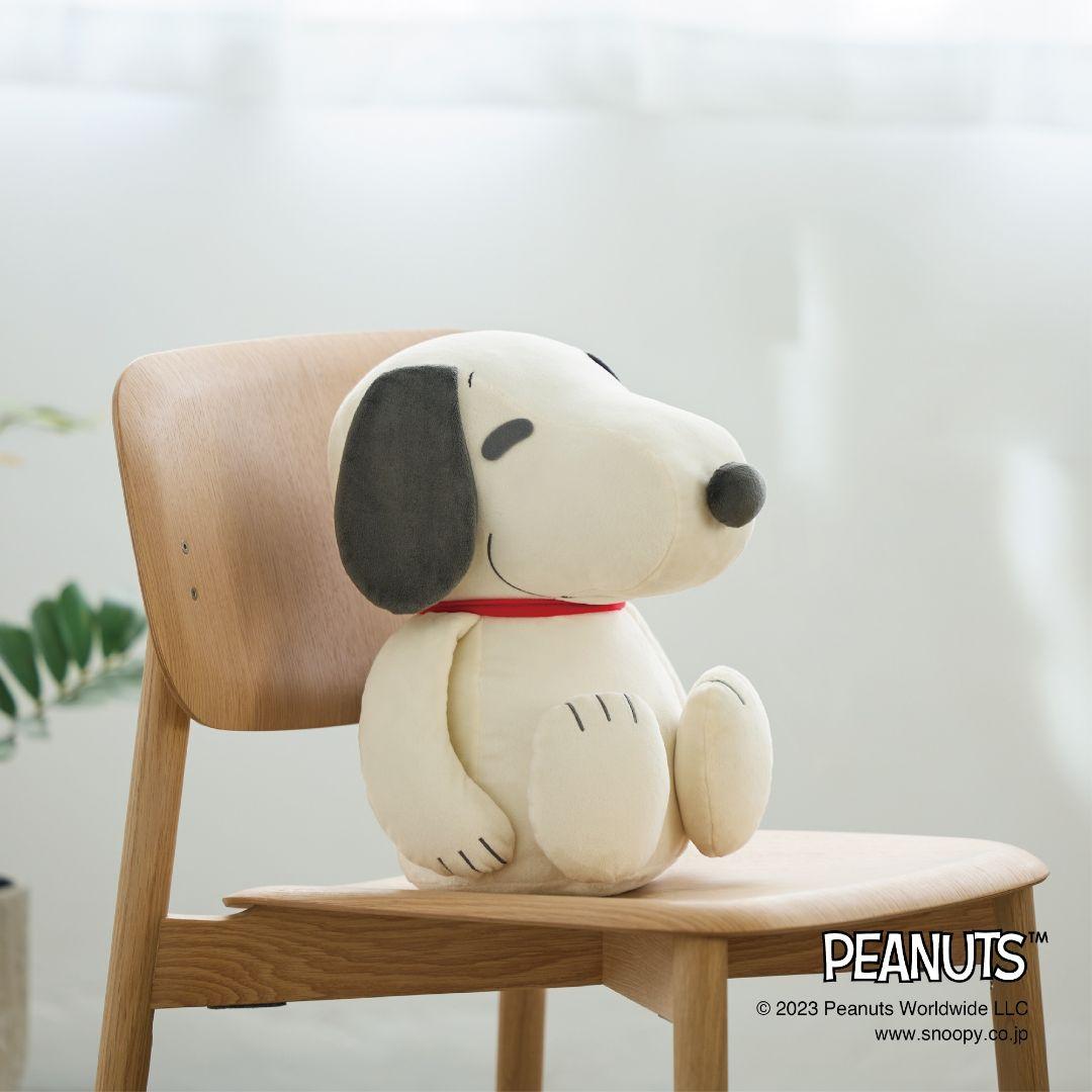 【PEANUTS】スヌーピー メディシンボール ウィズ ハット　ユニセックス