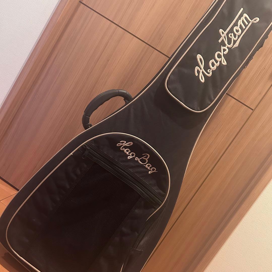 エレキギター ハムバッカー ビグスビー レスポールタイプ