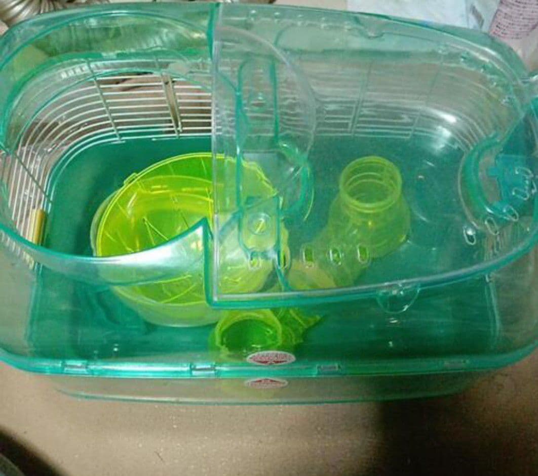 多頭飼育していて