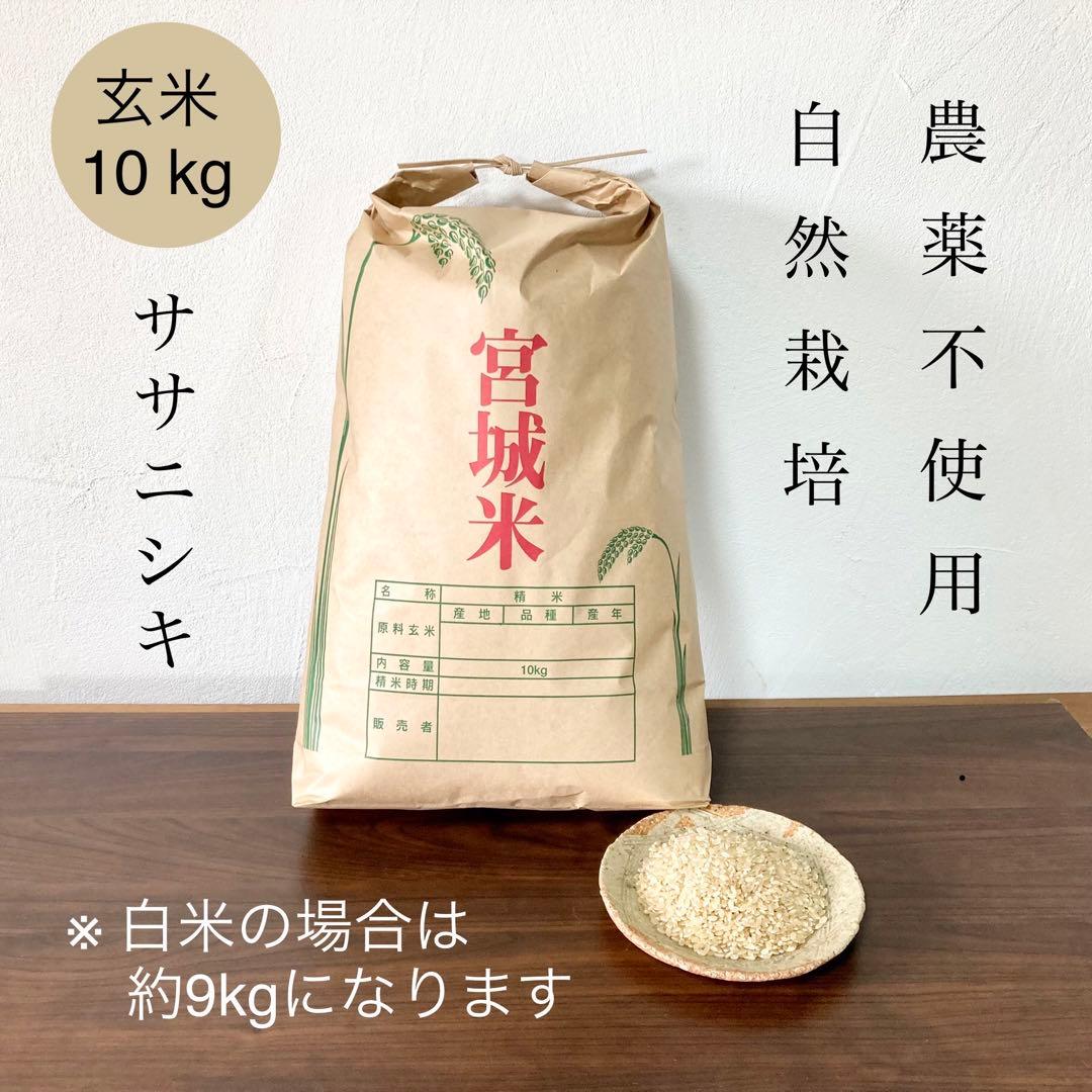 ササニシキ　玄米10キロ　農薬不使用・肥料不使用　自然栽培米