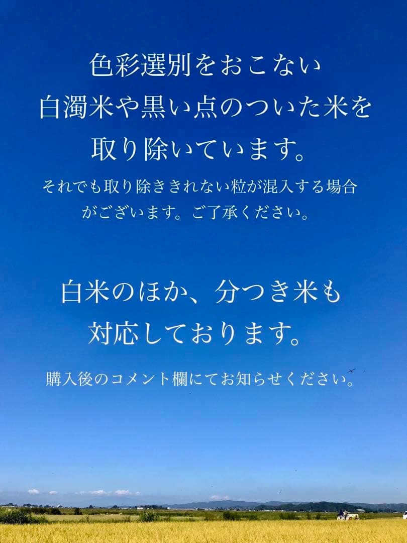 ササニシキ　玄米10キロ　農薬不使用・肥料不使用　自然栽培米