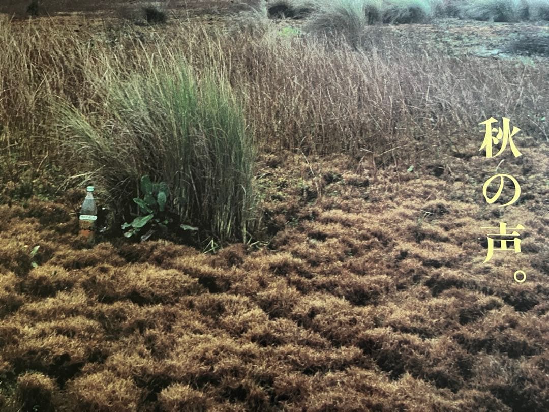 いいちこポスター 2枚セット