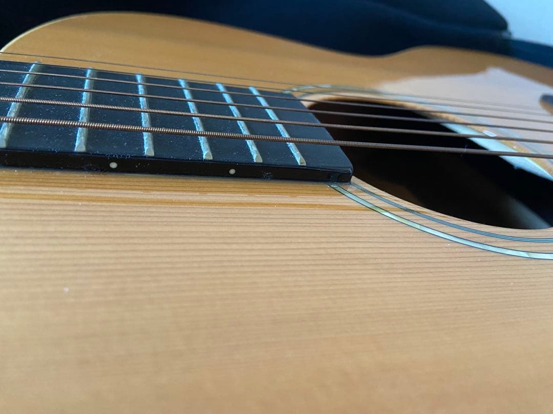 Samick TAJ-1 アコースティックギター