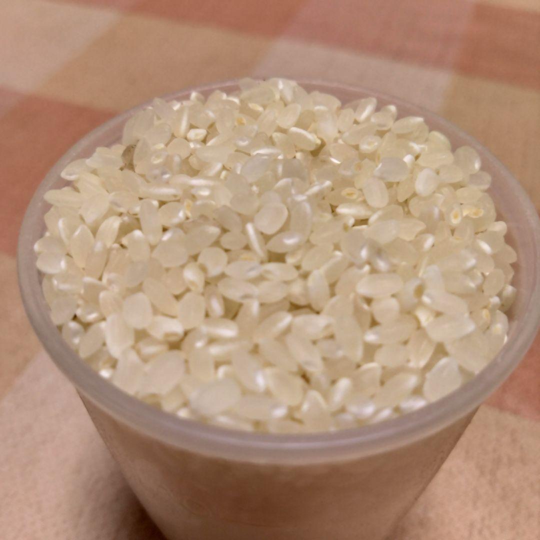 【島根県産】きぬむすめ　白米　15kg　一斗