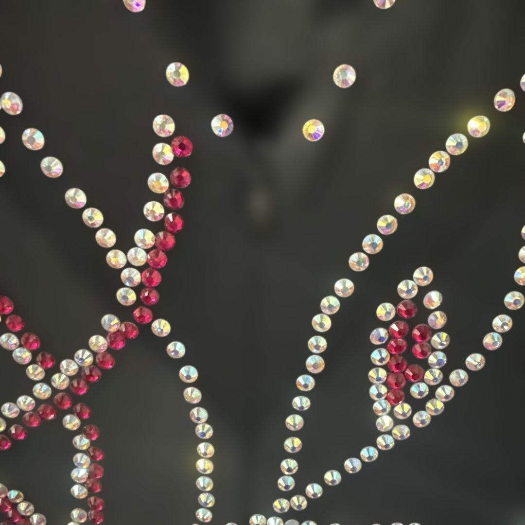 【Mサイズ】社交ダンス　ドレス　ブラック×ピンク