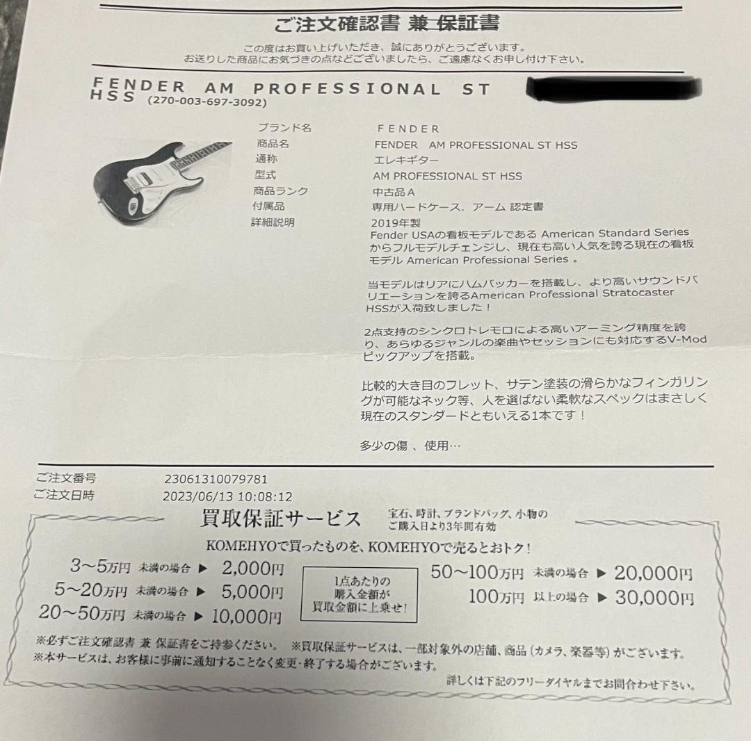 Fender Am Pro Strat HSS 2019 ケース付