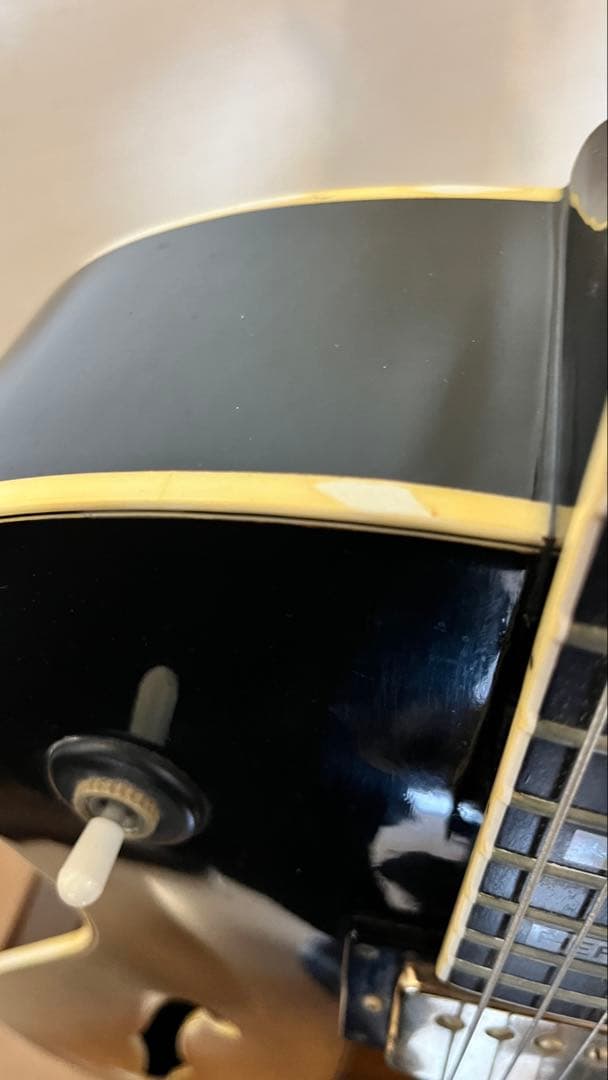 Aria Pro II PE-175 ハーブエリスモデル　ケースなし