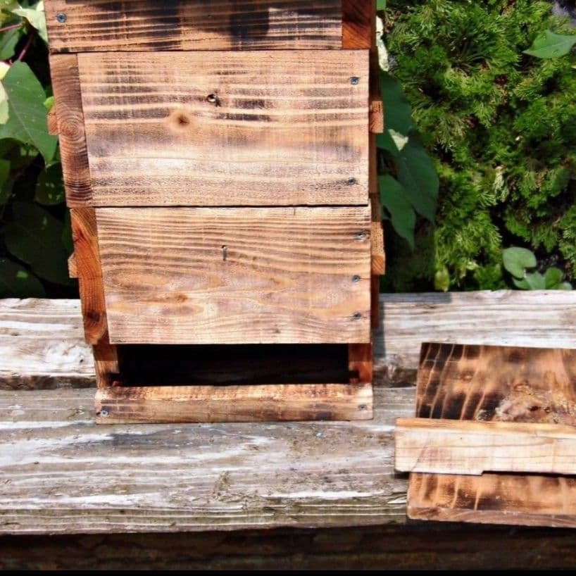 日本蜜蜂のはちみつ　結晶化　蜂蜜　百花蜜　ニホンミツバチ　国産　非加熱　無添加