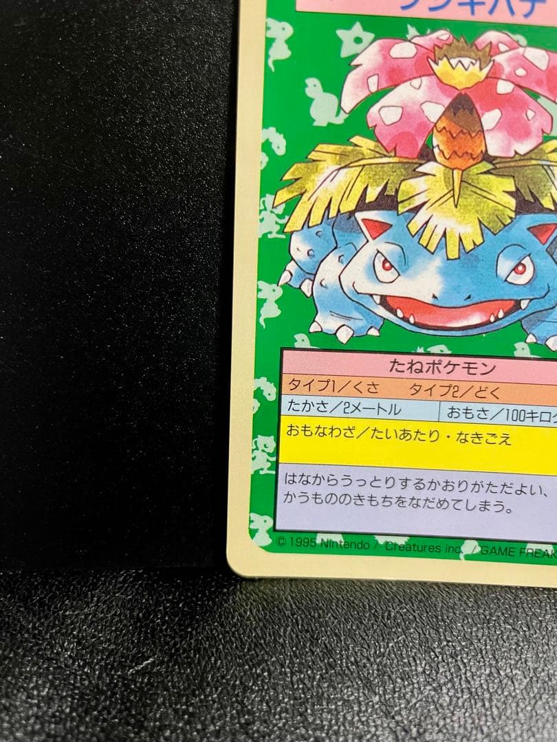 【美品】ポケモンカード トップサン フシギバナ 初期 【裏青】
